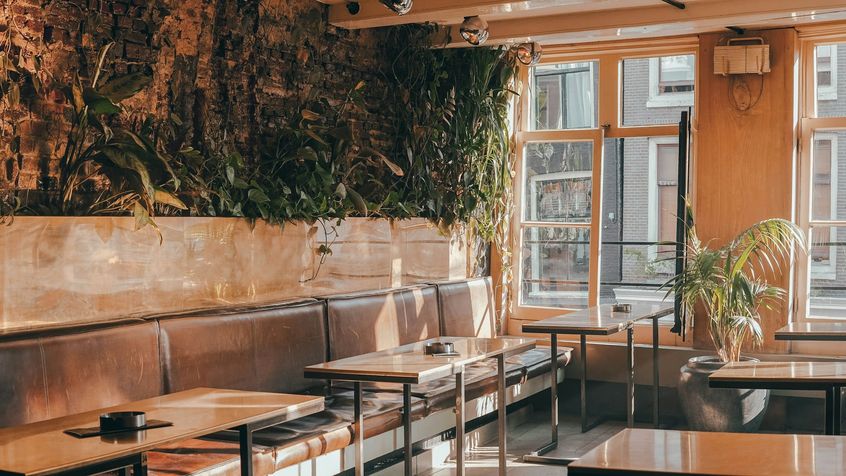 Een restaurantzaal met leren banken, houten tafels en een plantenwand bij de ramen.